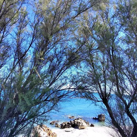 Peonia Luxury * Bisceglie